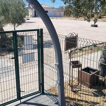 Finca Shenonkop 4*