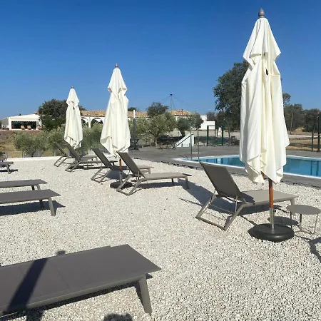 Finca Shenonkop